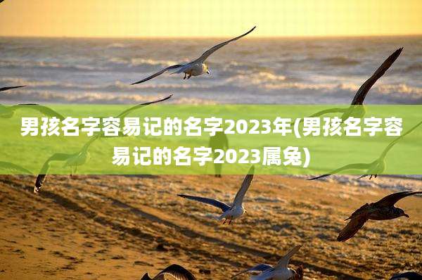 男孩名字容易记的名字2023年(男孩名字容易记的名字2023属兔)