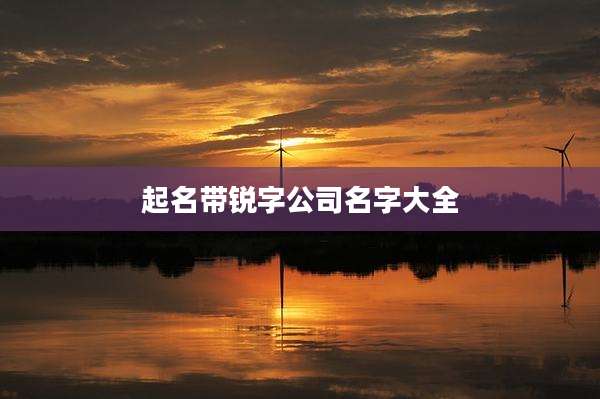 起名带锐字公司名字大全