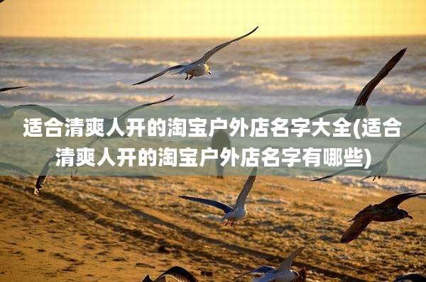 适合清爽人开的淘宝户外店名字大全(适合清爽人开的淘宝户外店名字有哪些)