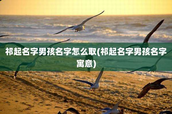 祁起名字男孩名字怎么取(祁起名字男孩名字寓意)