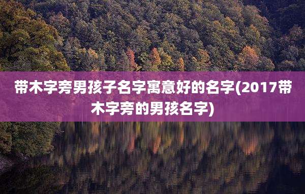 带木字旁男孩子名字寓意好的名字(2017带木字旁的男孩名字)