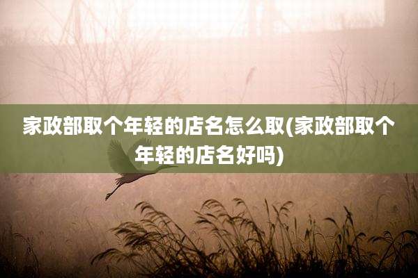 家政部取个年轻的店名怎么取(家政部取个年轻的店名好吗)
