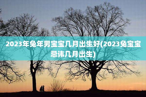 2023年兔年男宝宝几月出生好(2023兔宝宝忌讳几月出生)