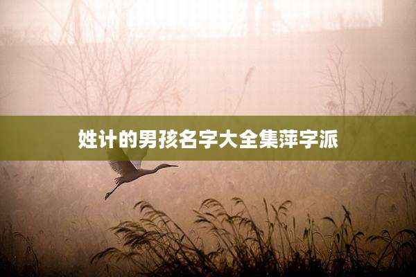姓计的男孩名字大全集萍字派