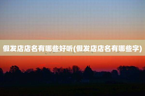 假发店店名有哪些好听(假发店店名有哪些字)