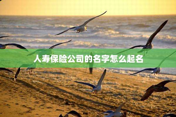 人寿保险公司的名字怎么起名