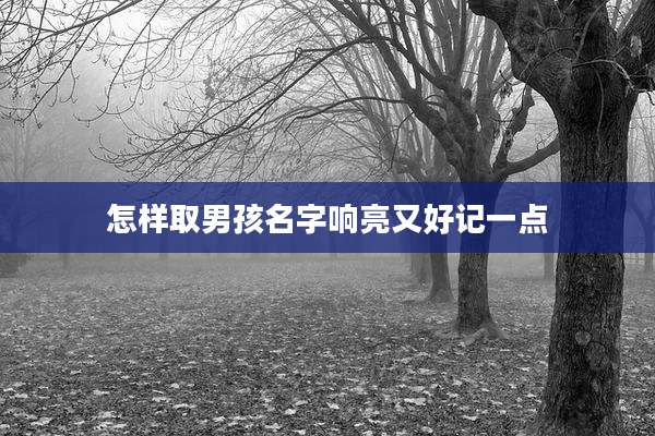 怎样取男孩名字响亮又好记一点