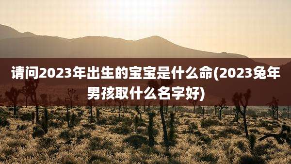 请问2023年出生的宝宝是什么命(2023兔年男孩取什么名字好)