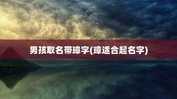男孩取名带璋字(璋适合起名字)