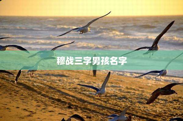 穆战三字男孩名字