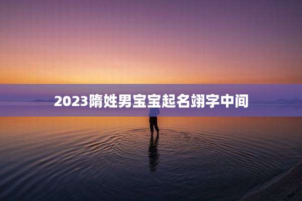 2023隋姓男宝宝起名翊字中间