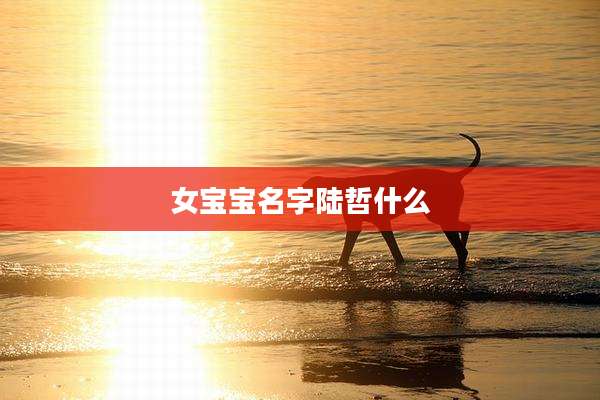 女宝宝名字陆哲什么