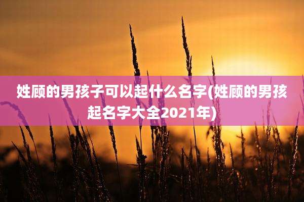 姓顾的男孩子可以起什么名字(姓顾的男孩起名字大全2021年)