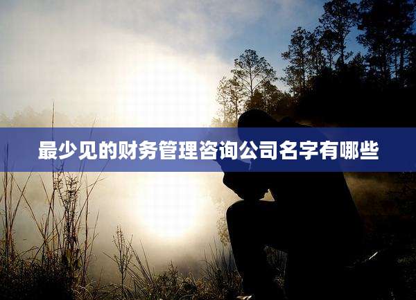 最少见的财务管理咨询公司名字有哪些