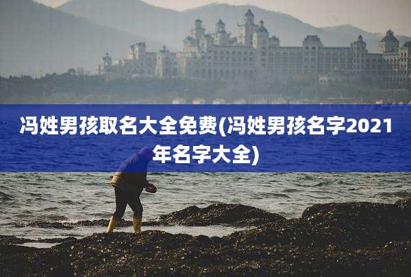 冯姓男孩取名大全免费(冯姓男孩名字2021年名字大全)