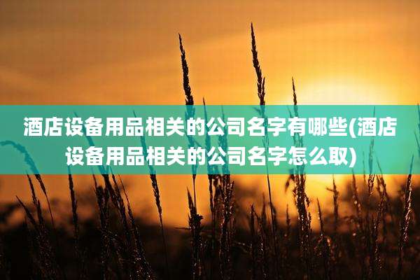 酒店设备用品相关的公司名字有哪些(酒店设备用品相关的公司名字怎么取)