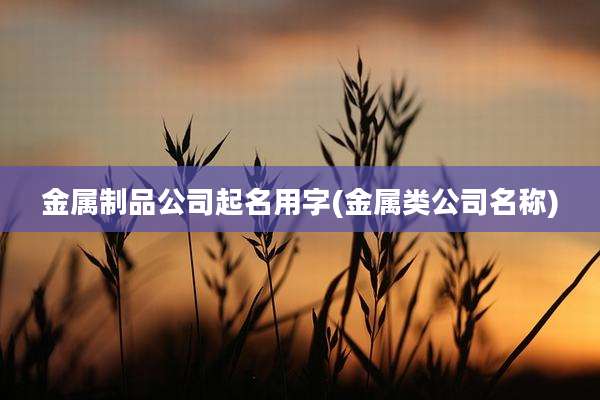 金属制品公司起名用字(金属类公司名称)