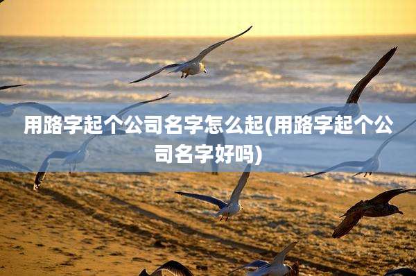 用路字起个公司名字怎么起(用路字起个公司名字好吗)