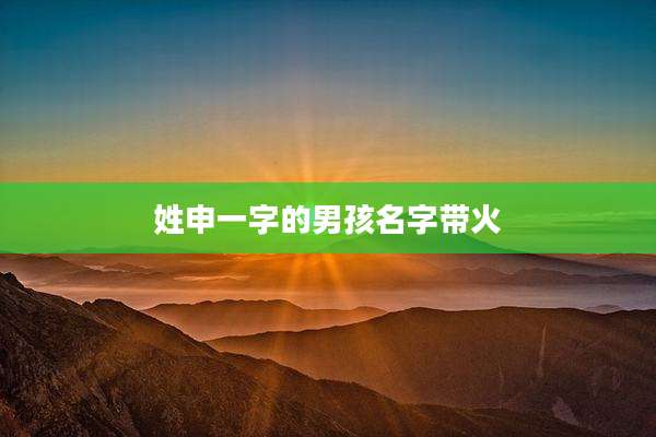 姓申一字的男孩名字带火