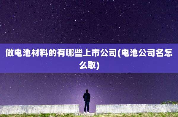 做电池材料的有哪些上市公司(电池公司名怎么取)