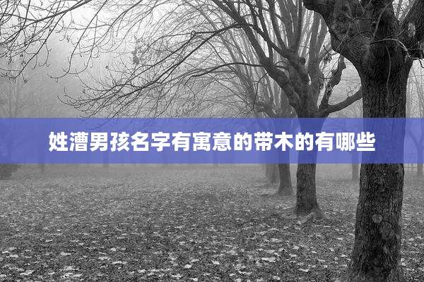 姓漕男孩名字有寓意的带木的有哪些