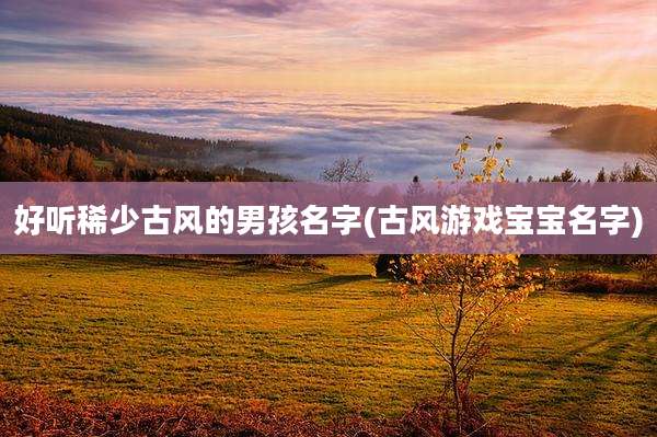好听稀少古风的男孩名字(古风游戏宝宝名字)