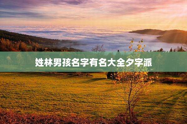 姓林男孩名字有名大全夕字派