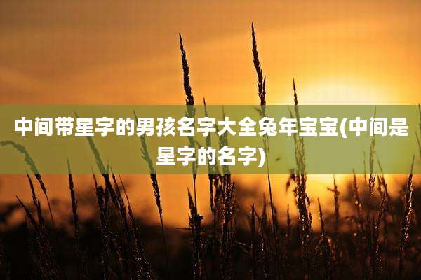 中间带星字的男孩名字大全兔年宝宝(中间是星字的名字)