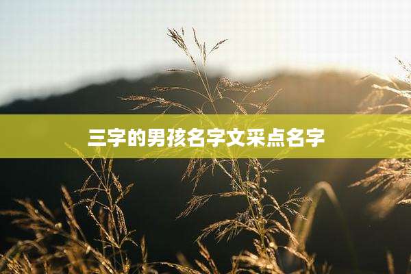 三字的男孩名字文采点名字