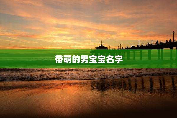 带萌的男宝宝名字