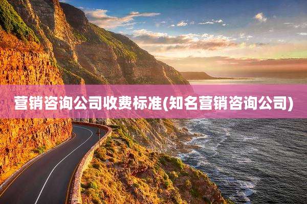 营销咨询公司收费标准(知名营销咨询公司)