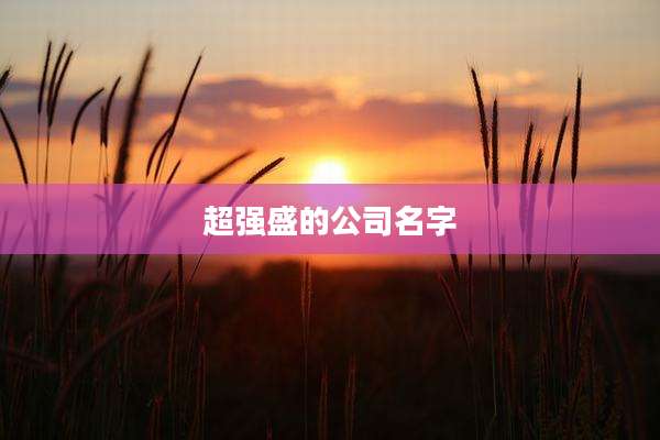 超强盛的公司名字
