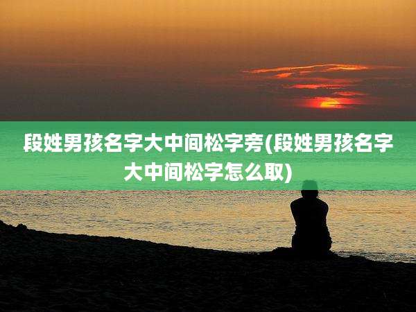 段姓男孩名字大中间松字旁(段姓男孩名字大中间松字怎么取)