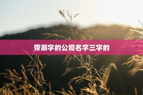 带瀚字的公司名字三字的