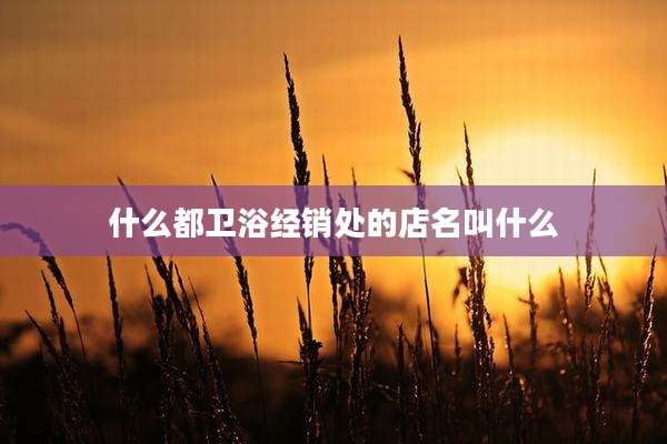 什么都卫浴经销处的店名叫什么