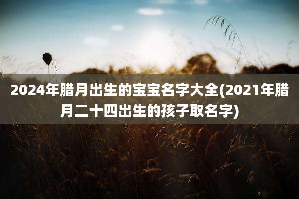 2024年腊月出生的宝宝名字大全(2021年腊月二十四出生的孩子取名字)