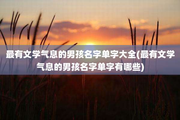 最有文学气息的男孩名字单字大全(最有文学气息的男孩名字单字有哪些)