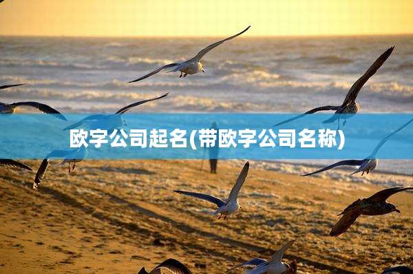 欧字公司起名(带欧字公司名称)