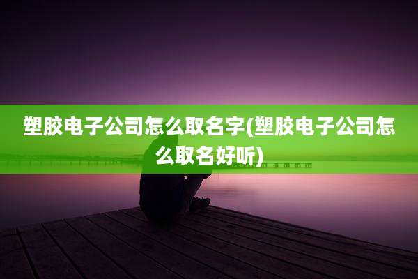 塑胶电子公司怎么取名字(塑胶电子公司怎么取名好听)