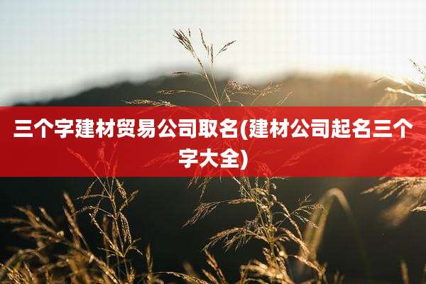 三个字建材贸易公司取名(建材公司起名三个字大全)