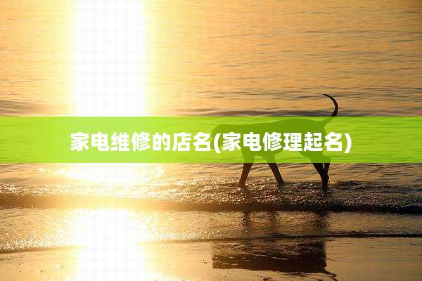 家电维修的店名(家电修理起名)