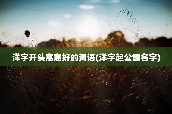 洋字开头寓意好的词语(洋字起公司名字)