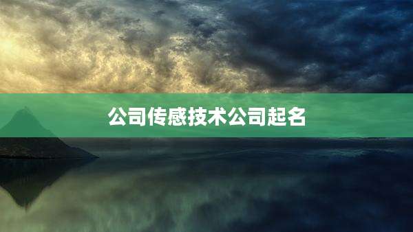 公司传感技术公司起名