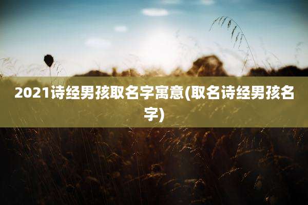 2021诗经男孩取名字寓意(取名诗经男孩名字)