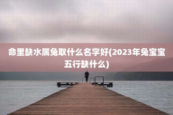 命里缺水属兔取什么名字好(2023年兔宝宝五行缺什么)