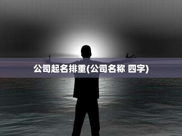 公司起名排重(公司名称 四字)