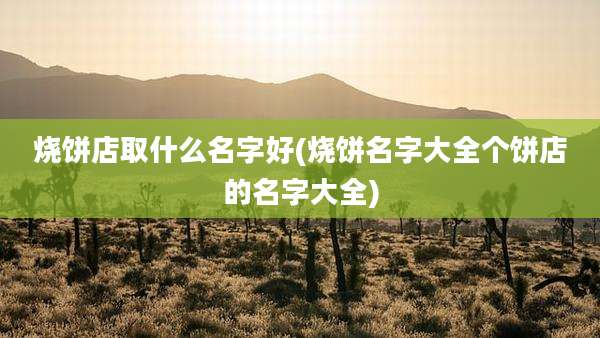 烧饼店取什么名字好(烧饼名字大全个饼店的名字大全)