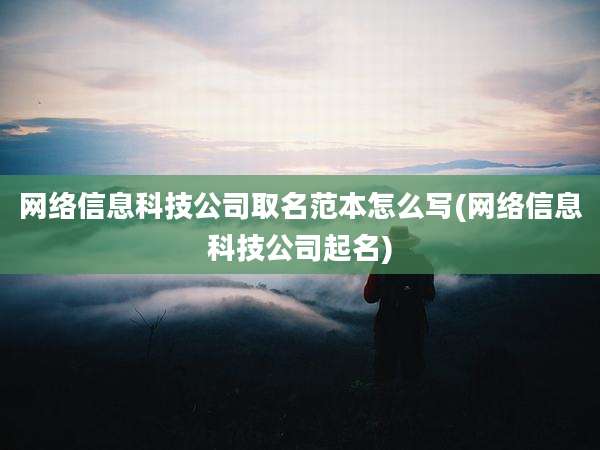网络信息科技公司取名范本怎么写(网络信息科技公司起名)