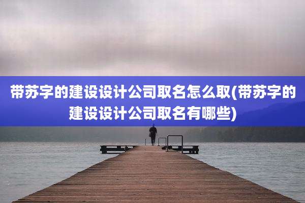 带苏字的建设设计公司取名怎么取(带苏字的建设设计公司取名有哪些)
