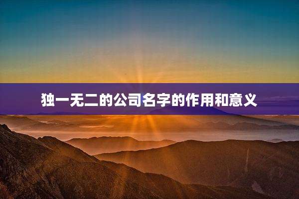 独一无二的公司名字的作用和意义
